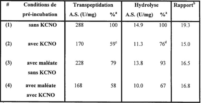 Tableau 2.4: Influence du KCNO (100 mM) et du maléate (50 mM) sur la transpeptidation et l’hydrolyse catalysées par la GGT.