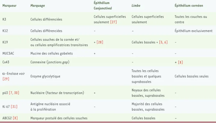 Tableau I. Diverses protéines utiles au marquage des cellules épithéliales de la cornée et de la conjonctive normale (voir [26]).