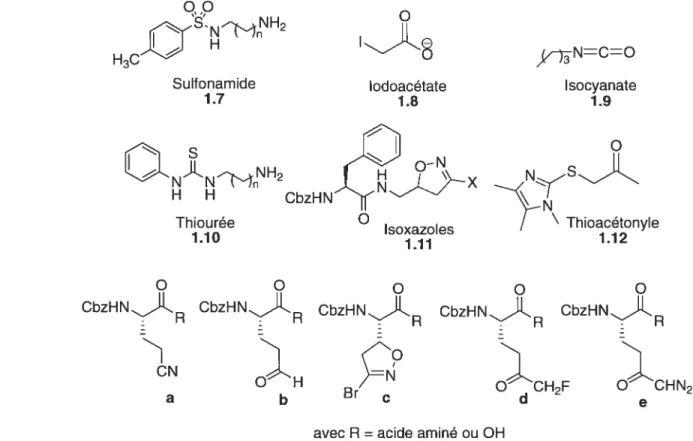 Figure 1.2 : Structures d’inhibiteurs présentées dans la littérature.