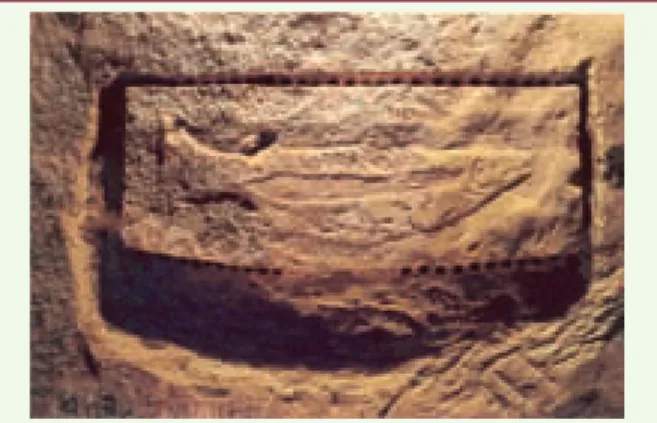 Figure 1. Image d’un saumon mâle adulte gravé il y a 25 000 ans au  plafond d’une grotte dans le Périgord, en France (avec la permission  du Dr N