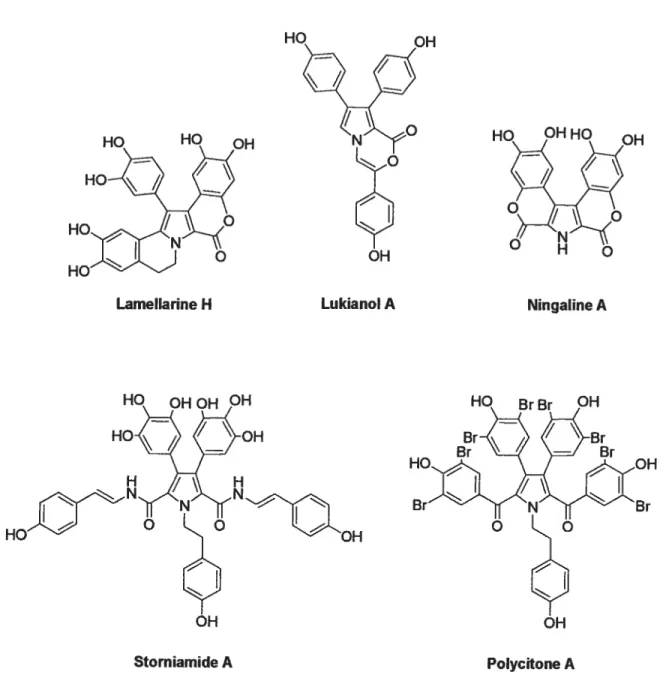 Figure 2 Structures de molécules isolées de différentes familles d’alcaloïdes marins