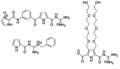 Figure 3 Exemples de pyrroles mono- et dicarboxylates se liant aux peptides dans l’eau