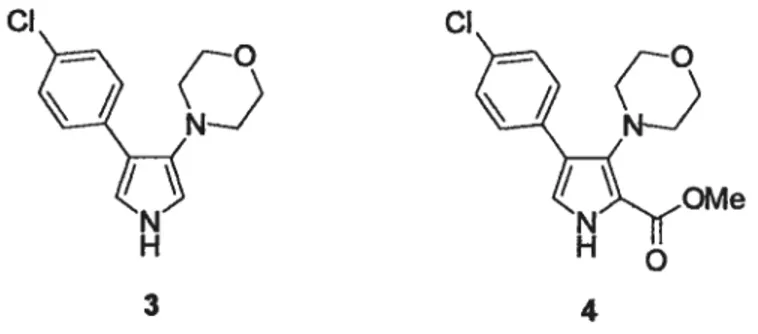 Figure 5 Exemples de 3-aminopyrroles comme agents régulateurs des canaux de sodium