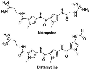 Figure 7 Exemples de produits naturels renfermant des aminopyrroles carboxylates