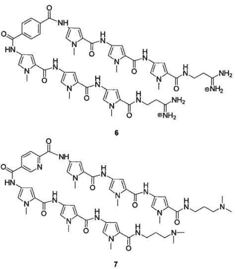 Figure 8 Exemples de polyamides inhibant l’activité catalytique des intégrases du VIII-l et V1}I-26