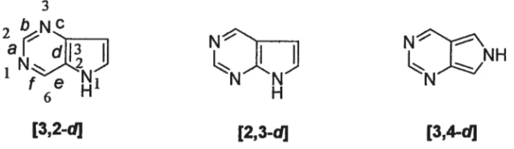 Figure 10 Exemples de différents assemblages de pyrrolopyrimidines