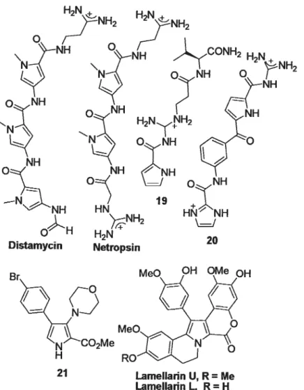 Figure 13. Representative examples ofbioactive pyrrole 2-carboxylate analogs