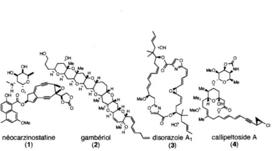 Figure 2.  Structures des  produits naturels:  néocarzinostatine  (l),  gambériol  (2),  disorazole  Al  (3)  et callipeltoside A  (4) 