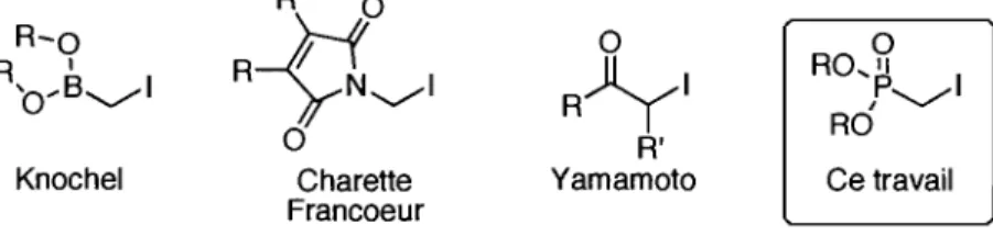 Figure 5. Précurseurs de réactifs organozinciques 