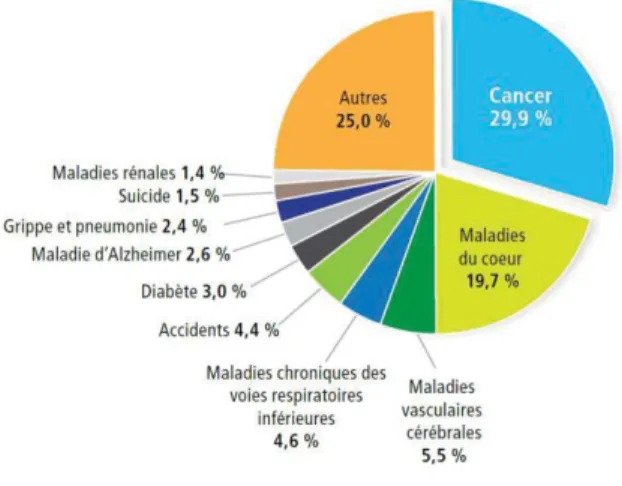 Figure 1.7   Pourcentage de décès dus au cancer et à d'autres causes au Canada, 2011 18