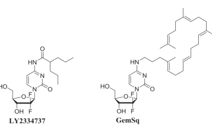Figure 1.13   Prodrogues lipophiliques de la Gemcitabine 1,53b