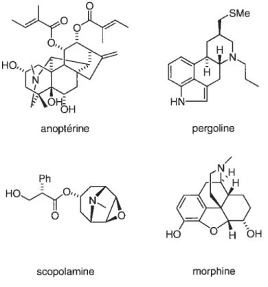 Figure 1. Produits naturels biologiquement actifs possédant l’unité pipéridine.