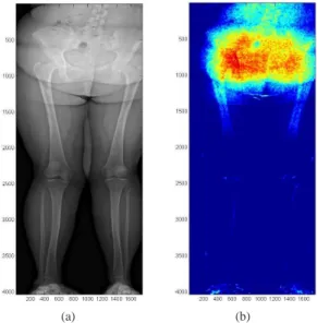 Fig. 2: (a) Input image. (b) Alpha Map: cold colors → low α values to preserve the details, hot colors → strong α values to reduce noise.