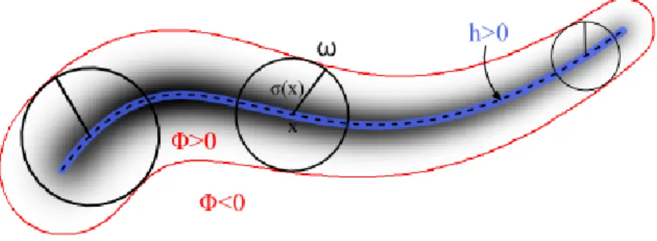 Figure 1. Implicit representation of a tubular structure in 2D. The foreground, in red, is modeled as the convolution of a blue thin area (h &gt; 0) localizing the vessel centerline with local kernels ω of radius σ.