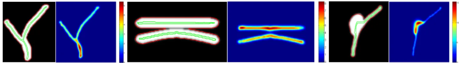 Figure 3. Segmentation results on synthetic images showing the initial image with the segmentation (red) and the centerline (green) overlaid, and the corresponding radius map