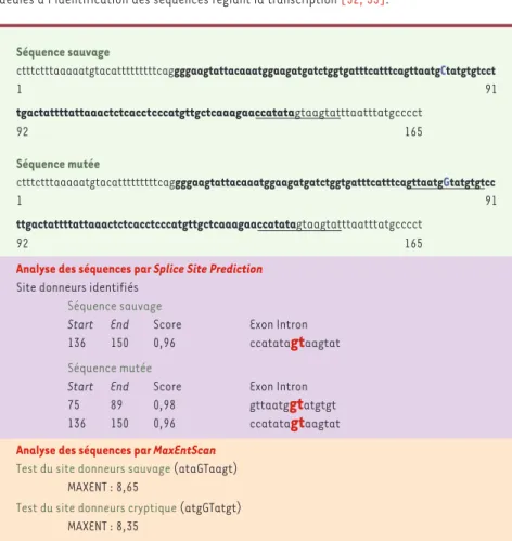 Figure 3. Résultats de la modélisation de la mutation g.56903C  ➝ G/Leu220Val sur l’exon 7 du gène RB1