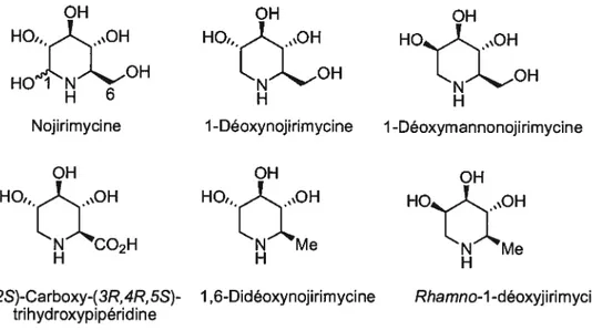 Figure 3. Exemples de pipéridines polyhydroxylées naturelles