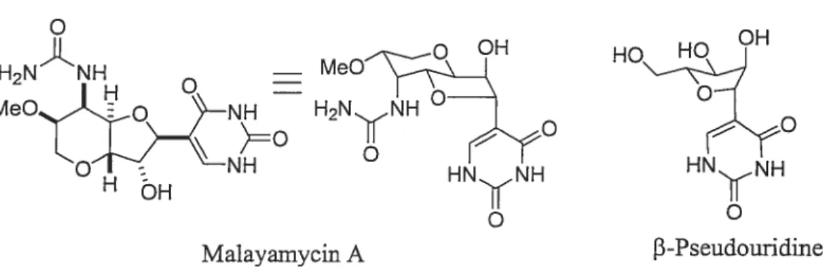 Figure 1.6 Structure de la maÏayamycin A.