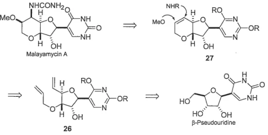 Figure 3.2 : Réfrosynthèse de la malayamycin A.