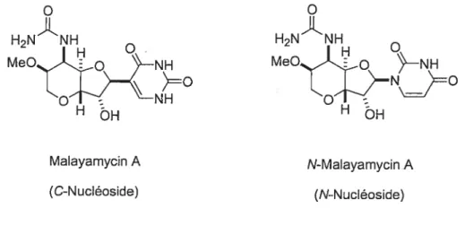 Figure 4.1 : Structure de la malayarnycin A et de la N-malayamycin A.