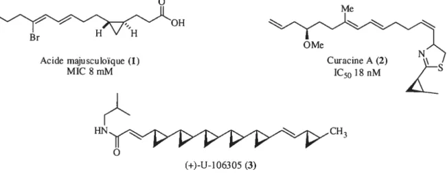 Figure 1. Exemples de composés naturels biologiquement actifs comportant un ou plusieurs cyclopropanes