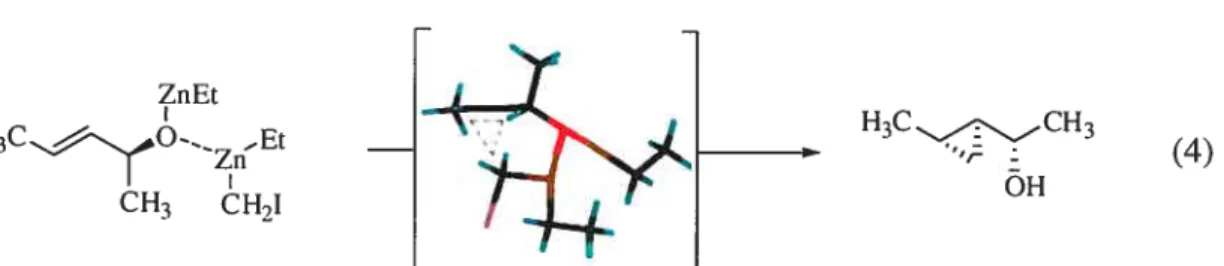 Figure 2. Classes d’auxilliaires chiraux utilisés dans la réaction de Simmons-Smith