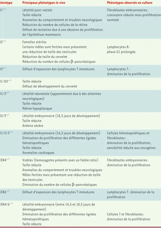 Tableau I. Phénotypes des mutants dont les gènes codant pour les cyclines D1, D2 et D3 et CDK4 et CDK6 ont été invalidés (d’après [10]).