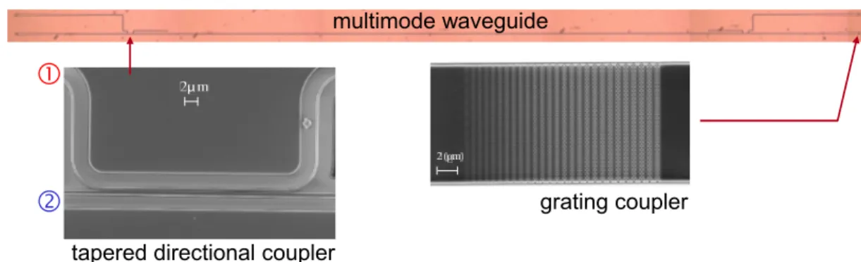 Fig. 2. Microscope pictures of the 4-mm long 2-mode SOI waveguide with details of the directional coupler mode (de)multiplexer and the grating coupler used to couple the chip to standard single-mode fibers.