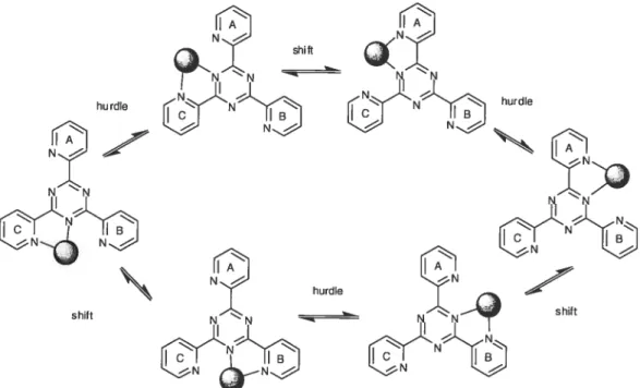 Figure 1.5 The exchange pathways for the dynamic processes in Pt(II) and Pd(ll) complexes of 2-tpt.39