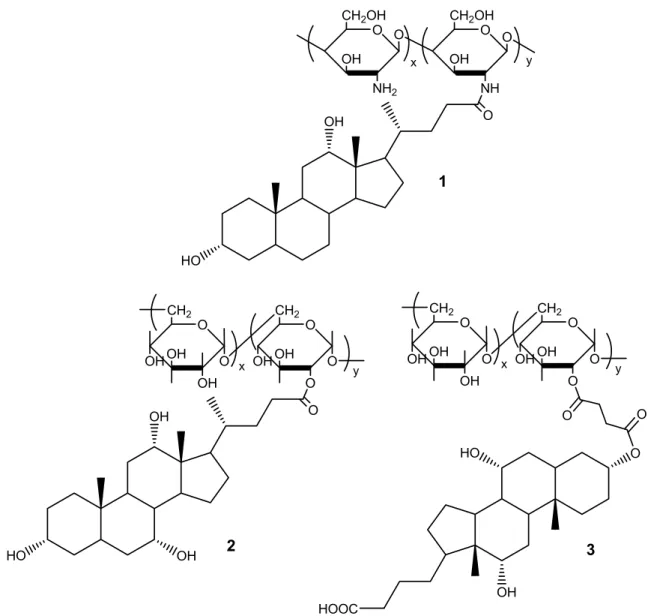 Figure 1.3. The structure of bile-acid-modified polysaccharides: (1) chitosan  modified with deoxycholic acid; (2) dextran modified with cholic acid via the  carboxylic group at position 24; (3) dextran modified with cholic acid via the  hydroxyl group at 