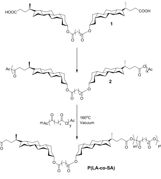 Figure 1.4. Synthesis of lithocholic acid-based polyanhydrides. 
