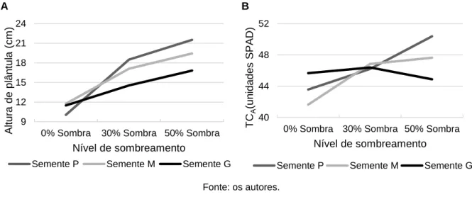 Figura 1 – Variação da altura de plântulas (A) o teor de clorofila nas folhas adultas (TC A ) (B) de uvaia  em função do tamanho da semente e do nível de sombreamento