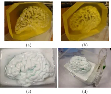 Fig. 1. Two views of the elastic Colin27 based brain phantom mold from (a) the inside