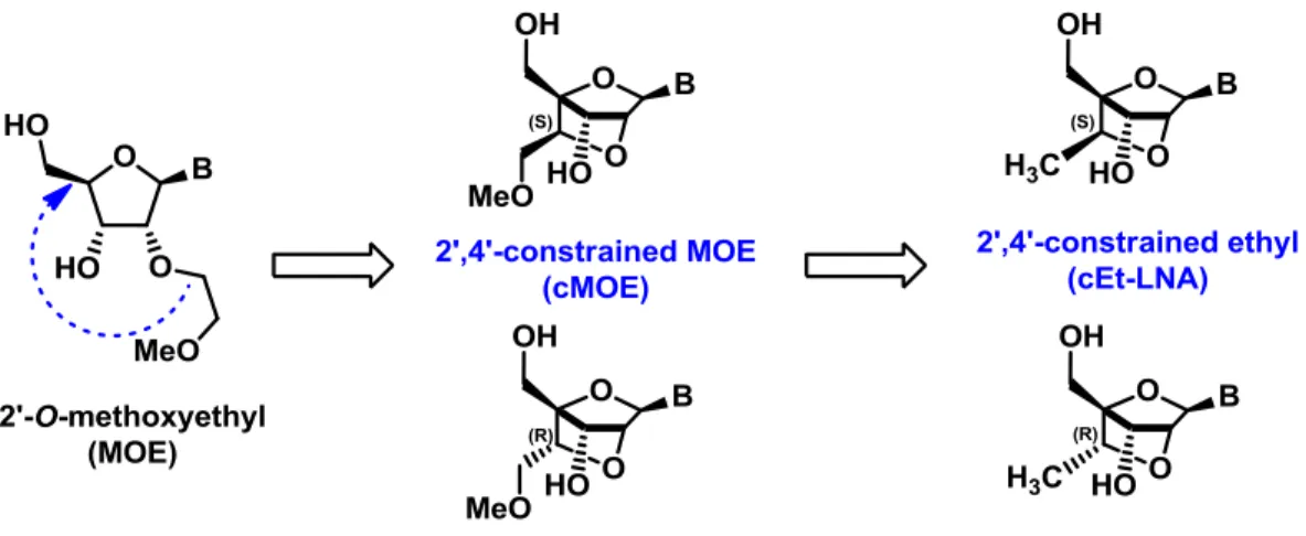 Figure 6.  cMOE and cEt-LNA nucleosides    