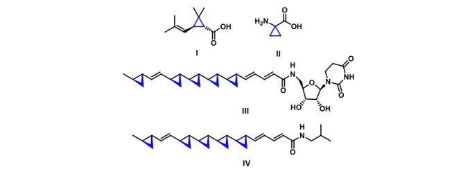 Figure 1 .Biologically active cyclopropane compounds from nature 