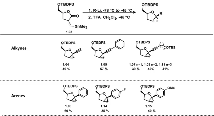 Table 1. 1,2-Addition to the lactone 1.03 