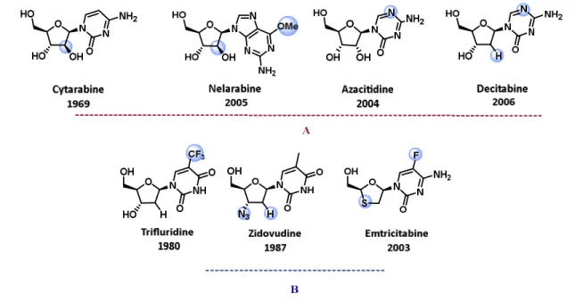 Figure 12. Examples of marketed nucleoside analogues A) Anticancer agents B) Antiviral agents 