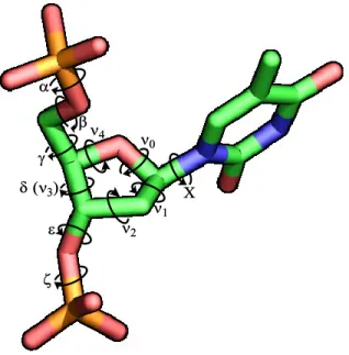 Figure 2. Torsion angles in nucleic acids 4
