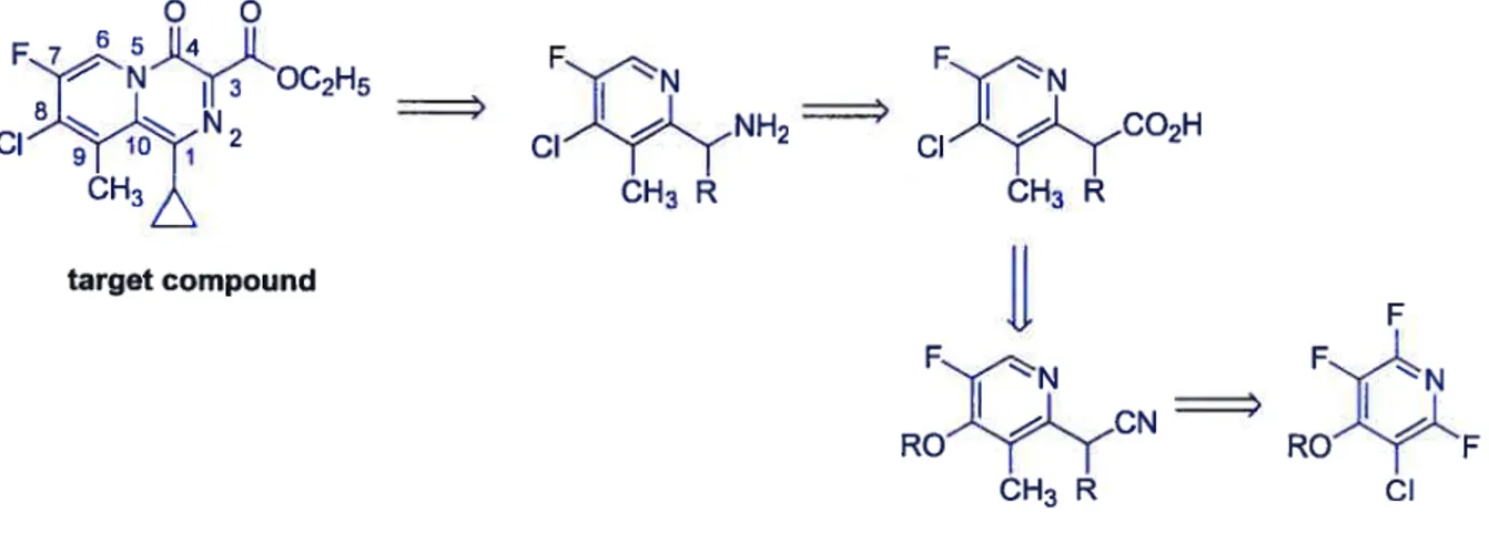 Figure 1.6 Retrosynthesis ofthe target compound