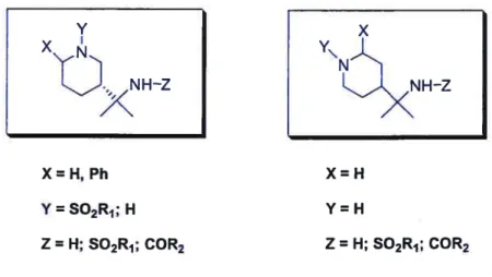 Figure 2.3 The target compounds