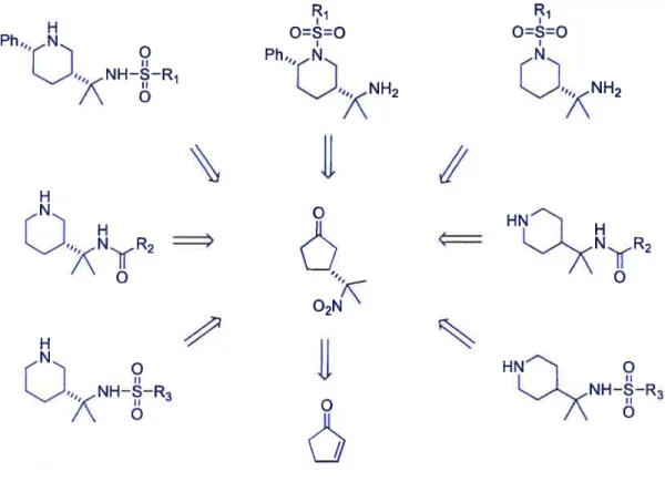 Figure 2.5 Retrosynthesis of substituted piperidine derivatives
