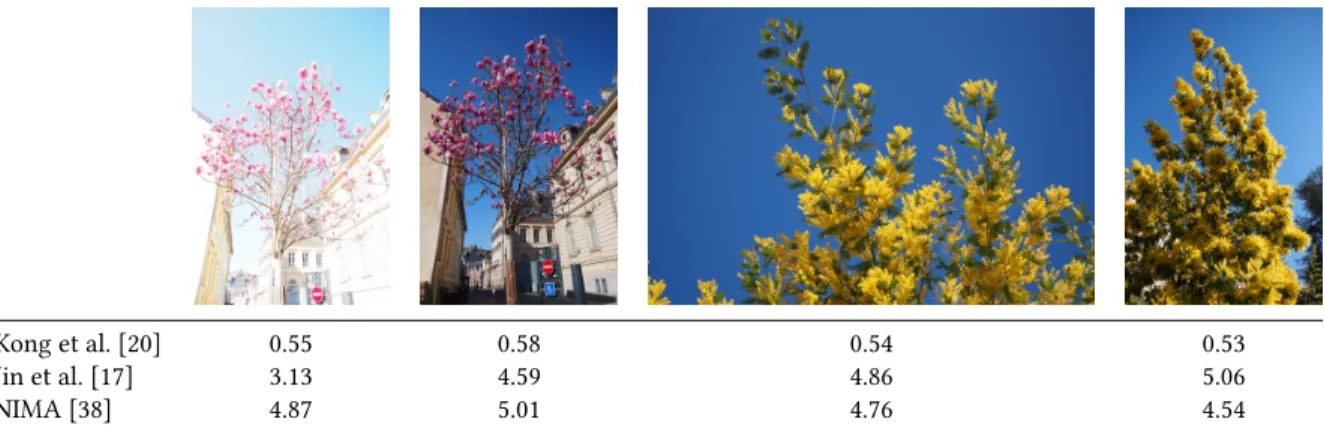 Table 1: Scoring of different photos in the same album by the analyzed image assessment methods