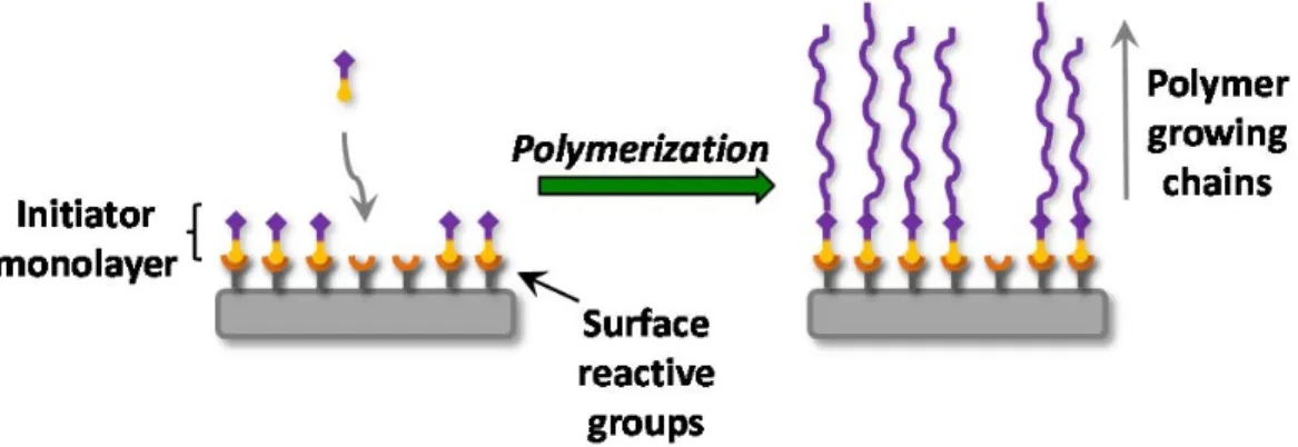 Figure 1-8. Schematic representation of “grafting from” consisting of an initiator  covalently immobilized on the surface and polymerization using a controlled 
