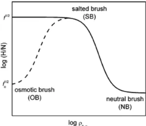 Figure 1-16. Illustration of different brush regimes for strong (solid line) and weak  (dashed line) polyelectrolytes