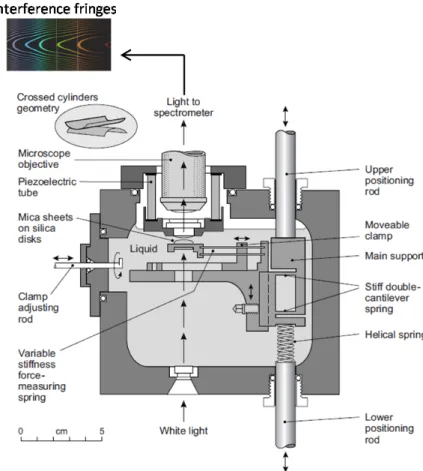 Figure 1-20. Schematic representation of Surface Forces Apparatus.  