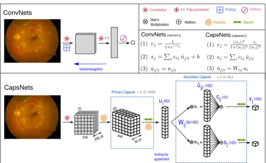 Fig. 1: Comparison of the flow and connections of ConvNets vs. CapsNets. Eq. (1) shows the difference between the sigmoid and squashing functions