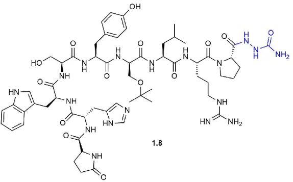 Figure 1.5: Zoladex® structure    