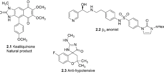 Figure 2.1: Examples of natural and synthetic imidazolones 87, 90, 91