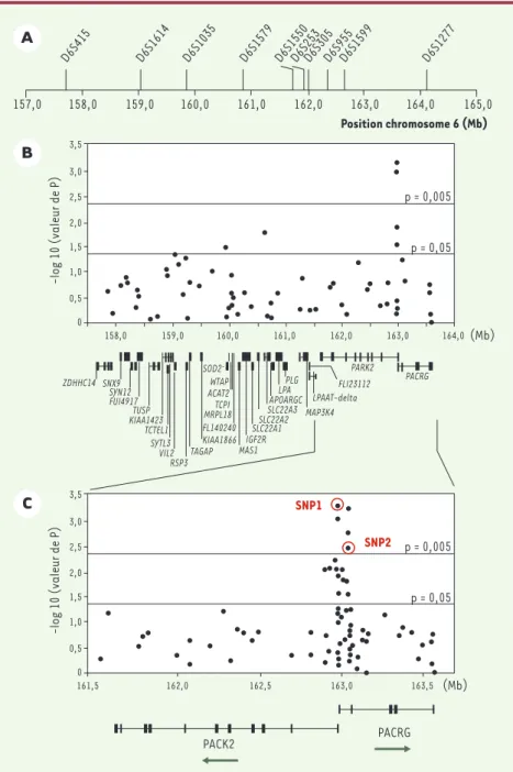Figure 1. Étude d’association de la susceptibi- susceptibi-lité à la lèpre per se dans la région  chromoso-mique 6q25