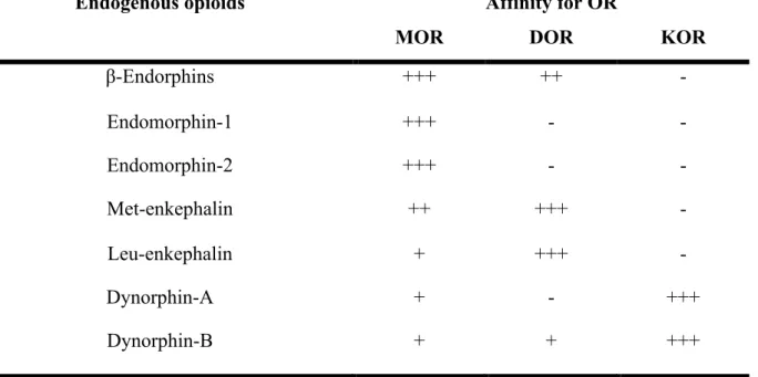 Table 1. Summary of the affinity of endogenous opioids to specific receptors. (Merg et al., 2006; 